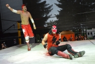 WRESTLING MANIA 